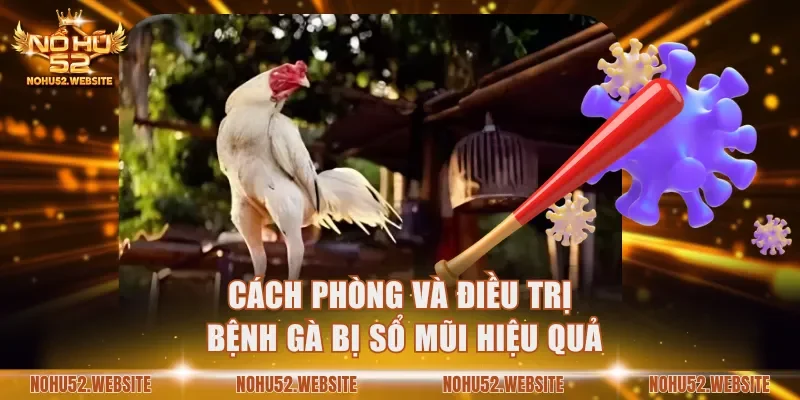 Cách phòng bệnh gà bị sổ mũi hiệu quả